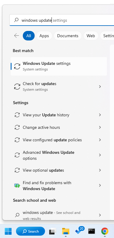 Windows Update Settings